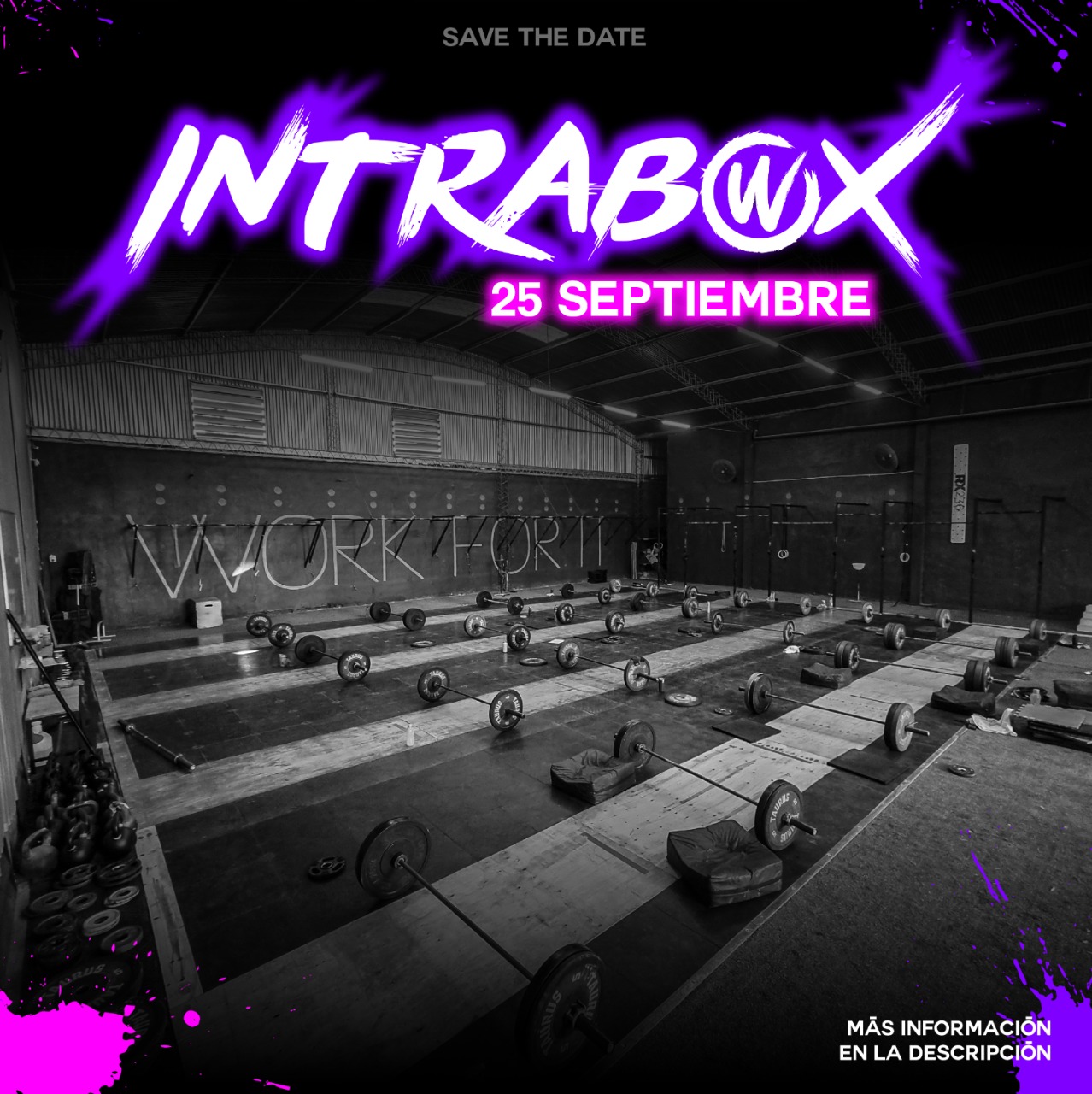 WoFit - Intrabox